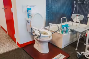 Toilet Safety Frames